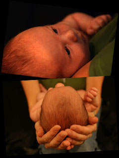 Newborn Portraits